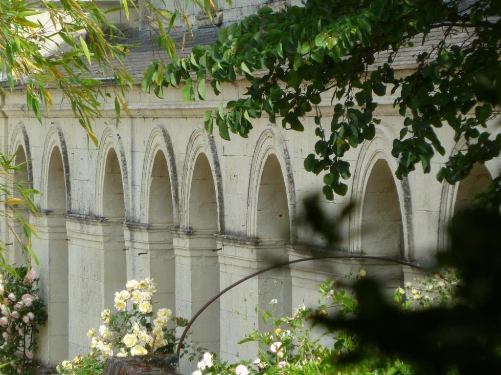 Le Coudray-Macouard マノワール ド ボワゼール Bed & Breakfast エクステリア 写真